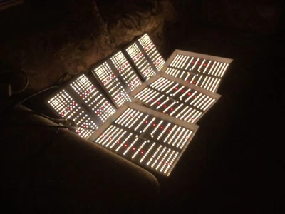 Luz de crecimiento LED Mars Hydro TS1000 espectro completo IR (usada) usada 2 ciclos de cultivo Foto 1 de 4