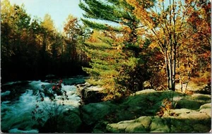 Postcard The Rapids Green Bay Wisconsin - Picture 1 of 2