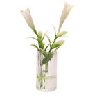 1:6 Scale Dolls House Miniatures Glass Vase Lily Flowers Bottle Decor Accessory
