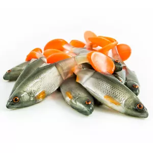 Angry lures Angry roach jointed 12,5cm-23g Hand made predator lures ricky roach - Picture 1 of 3