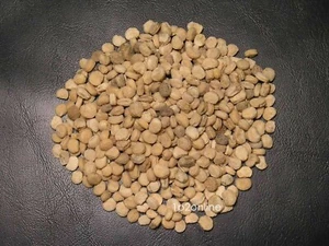 100 Bulk Wholesale Genuine Korean Panax Ginseng Seeds Root Seed Plant Stratified - Bild 1 von 6