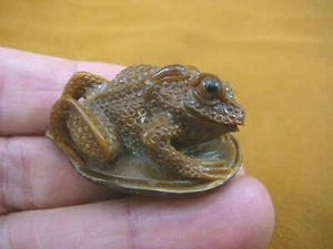 tb-frog-14) Frog Toad Tagua NUT palm figurine Bali detailed I love frogs - Picture 1 of 4