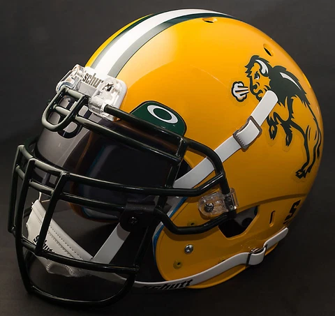 NORTH DAKOTA STATE BISON Football Helmet Cover