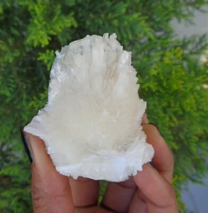 Apophyllite Crystals w/ Scolecite Minerals Specimen #H18 - Imagen 1 de 4