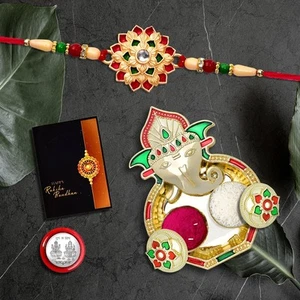 Juego de 1 moneda de plata y tarjeta de felicitación Oblivion Rakhi para Brother - Imagen 1 de 6