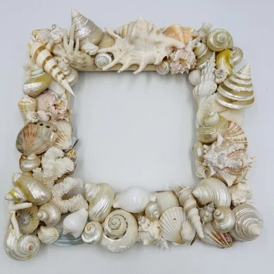 Moldura feita à mão para concha decoração de praia costeira náutica 14x14 conchas de coral - Imagem 1 de 4
