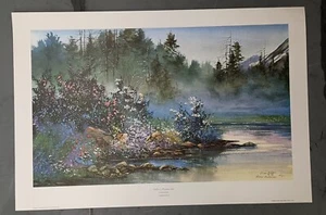 Diane Anderson Stillness, Mountain Lake 851/1000 Limited Edition 1992 w/COA - Picture 1 of 4