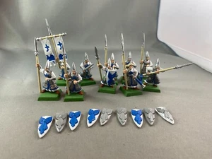 10x Spearmen Spears w/ Shields Painted High Elf Elves Aelves Warhammer Fantasy - Picture 1 of 4