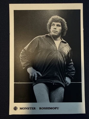 Folleto fotográfico Monster Roussimoff Andre the Giant GONG 1973 AWA hermoso Foto 1 de 4