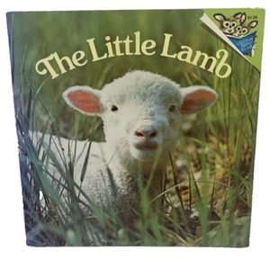 DAS KLEINE LAMM Phoebe & Judy Dunn FARBFOTOS Bilderbuch ZUFÄLLIGES HAUS - Bild 1 von 7
