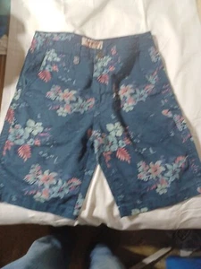 Rare Men’s Arizona Jean Hawaiian Bermuda Shorts Size 30 - Picture 1 of 6