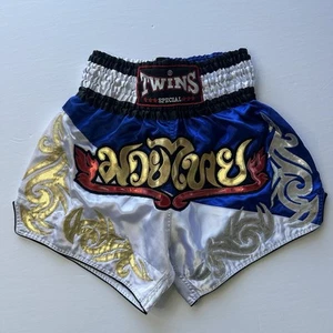 Twins Special Muay Thai Boxing Shorts Large Gold Silver Red Blue - Picture 1 of 9