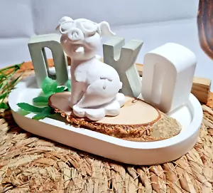 Casting Mold Concrete Mold New Year's Eve Decoration Pig Pig with Glasses 081 - Picture 1 of 9
