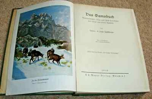 DAS GAMSBUCH - HANS FUSCHLBERGER - ANTELOPE HUNTING - RARE 1939 1st EDITION HB - Imagen 1 de 12