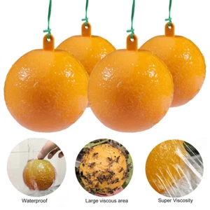 4PC Sticky Fruit Fly Traps Ball Fungus Gnat Ant Adhesive Trap for Indoor-Outdoor - Picture 1 of 13