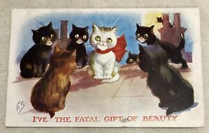 Vintage Black Cat White Kitten Postcard I’ve The Fatal Gift Of Beauty Antique