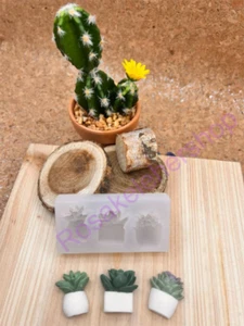 Cactus small set handmade silicone mold-succulents plants for crafts - Picture 1 of 9