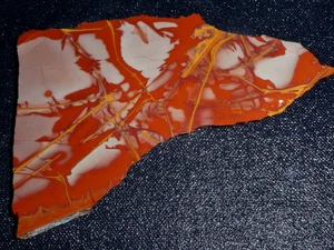 Noreena Jaspis Platte-5 3/8" x 3 1/2" grob -Kabbel-Display-Sammeln- - Bild 1 von 3