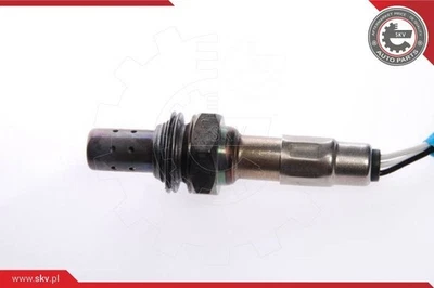 ESEN SKV SENSORE Lambda Adatto Per OPEL OMEGA RENAULT CLIO LAGUNA MEGANE SAFRANE - Immagine 1 di 3