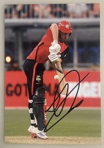 Tom Rogers signed Melbourne Renegades Cricket Photo Big Bash BBL - Picture 1 of 1