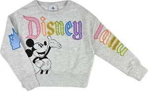 Disney Parks Kids Grey Embroidery Disneyland Castle Mickey Mouse Sweatshirt Sz M - Picture 1 of 2
