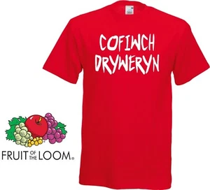 Cofiwch Dryweryn Remember Tryweryn Graffiti Style T-Shirt Wales Welsh Yes Cymru - Picture 1 of 2