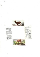 INTERESTING ANIMALS FULL SET 50 CARDS ISSUED 1954 BY NEILSONS EX+ COND FREEPOST