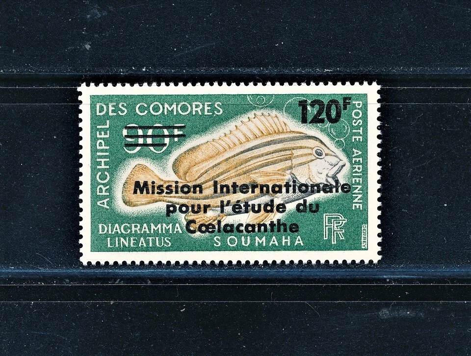 ISLAS COMORAS 1973, PECES, INTL. ESTUDIO DE CELACANTO CORREO AÉREO EDICIÓN O/P SCT C52 Foto 1 de 1