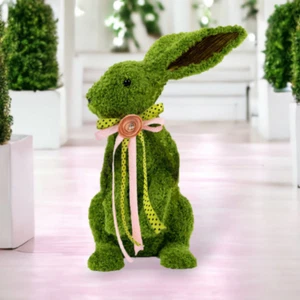 Green Garden Bunny Standing Easter Decor - Picture 1 of 1
