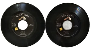 Artie Shaw & his Orch. RCA Victor 45 RPM 547-0768 Both Feet in the Groove 1956 - Imagen 1 de 13