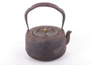 Tetera japonesa de hierro tallada con monedas antiguas + tapa/cubierta de cobre - Imagen 1 de 12