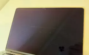 Pantalla LCD Original MacBook Air 13" A1932 / A2179 (2020/2018/2019) Color GRIS - Imagen 1 de 5