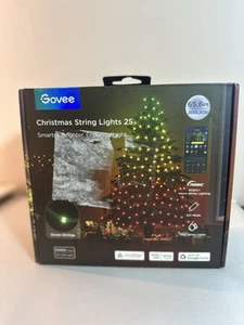 Govee 65.6ft Green Christmas String Lights - Picture 1 of 3