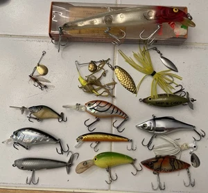 14 pc Fishing Lures Assorted Crankbait Deep Shallow Topwater Spinnerbait Spinner - Picture 1 of 6