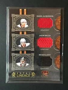 2010-11 Crown Royale Lineage Triple Jersey #ASE Elliott Alfredsson Spezza /100 - Bild 1 von 1