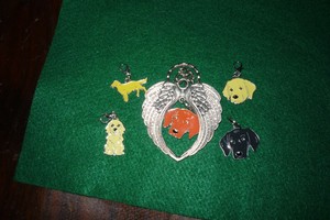 REDBONE COONHOUND, LABRADOR, GOLDEN RETRIEVER  KEYCHAIN/VIZLA