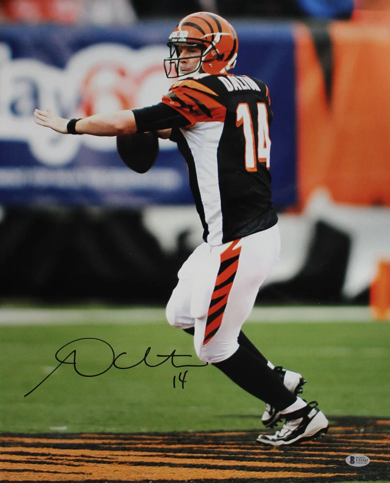 Foto autografada/assinada por Andy Dalton Cincinnati Bengals 16x20 BAS 29064 - Imagem 1 de 1