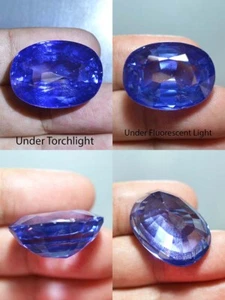 61,85 Ct 26,20x19,52 MM Grande Ovale Ceylon Blu Zaffiro Laboratorio Corindone BA4329 - Foto 1 di 6