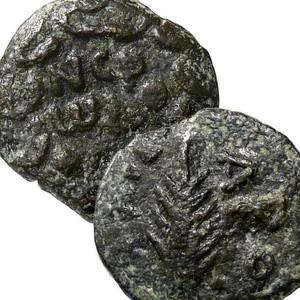 Porcius Festus bajo NERO. Rama/corona de palma 'Año 5 del César'. Moneda Tierra Santa - Imagen 1 de 10