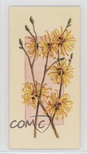 1977 Carreras Craven Black Cat Flowers All the Year Round Tobacco #47 2p7