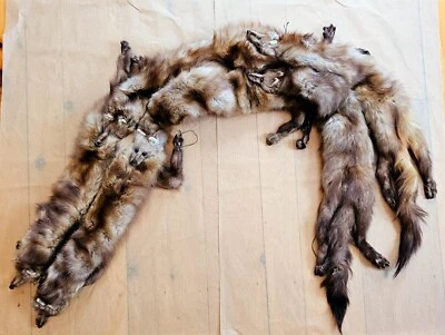 Cuello de piel de visón marrón claro rubio 6 pieles con cabezas patas garras broche de baquelita Foto 1 de 4