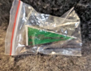 Walt Disney World Wimpel grün versteckte Mickey Anstecknadel (C19B3) PB3 - Bild 1 von 4