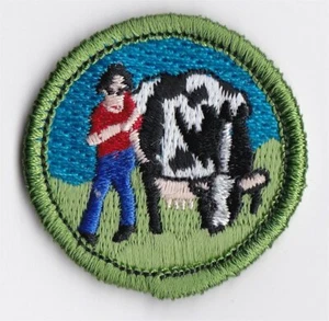 VERDIENSTABZEICHEN - SPOOF - KUHSPITZE - 1-1/2 ZOLL DURCHMESSER - PRIVATAUSGABE - Bild 1 von 1