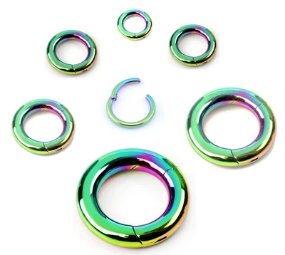 Anillo de segmento con bisagras 12 g-2 g 8-20 mm calibre pesado tabique oreja clicker aro arco arco iris Foto 1 de 4