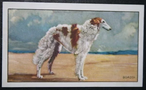 BORSOI Vintage 30er Jahre illustrierte Hundekarte KD29M - Bild 1 von 2