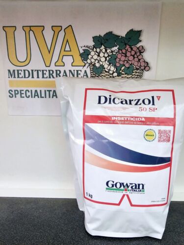 Foto 1 di 2