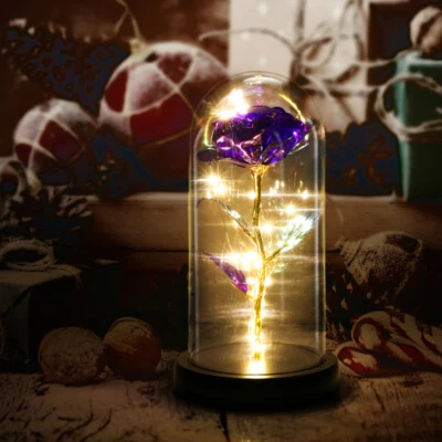 Rosa LED preservada en cúpula de cristal, regalo eterno para su aniversario de San Valentín Foto 1 de 4