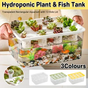 Clear Rectangular Aquarium Hydroponic Plant Fish Tank with 12 Hole Lid Portable - Picture 1 of 18