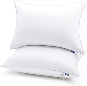 Kissen Queen Size 2er Set, Hotelqualität Bettkissen zum Schlafen 2er Pack, Cool - Bild 1 von 12