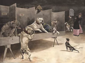 BULLDOG HUNDE GRÜSSE NOTIZKARTE HUNDE AUF ZEIGEBANK UND NIEDLICHER ENGLISCHER SPIELZEUG TERRIER - Bild 1 von 1